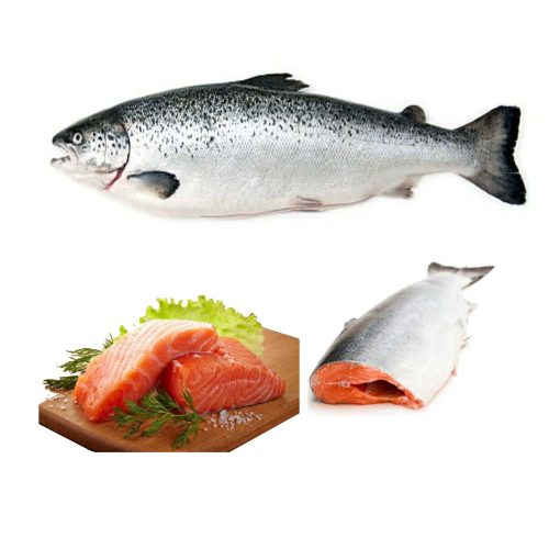 فواید ماهی سالمون